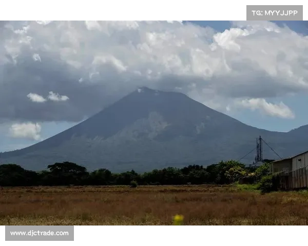尼加拉瓜火山灰侵袭主场 地质学家精心定制草皮养护方案